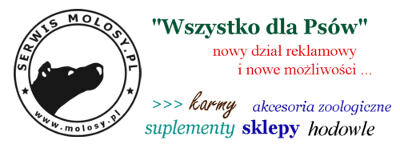 Wszystko dla Ps�w